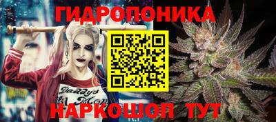 трава Северобайкальск