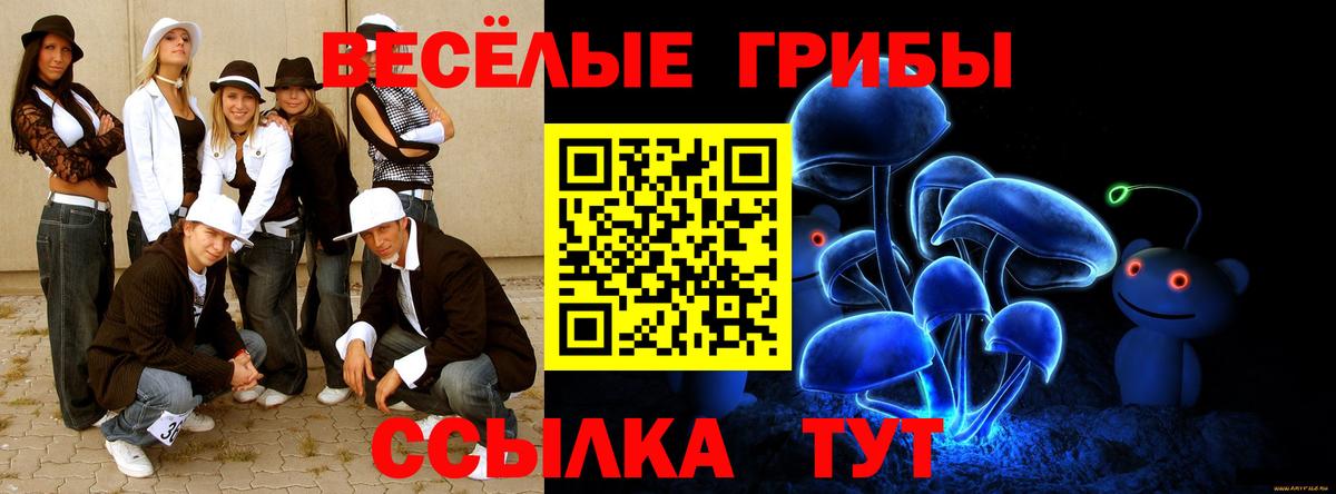 Галлюциногенные грибы мухоморы Рузаевка